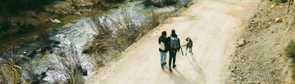 BibliotecaZoonosis Las zoonosis y las áreas naturales protegidas de la región centro de México