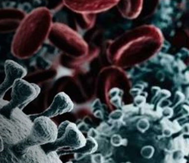 Biblioteca_NextPandemic Prevenir la próxima pandemia: ecología, economía, evolución