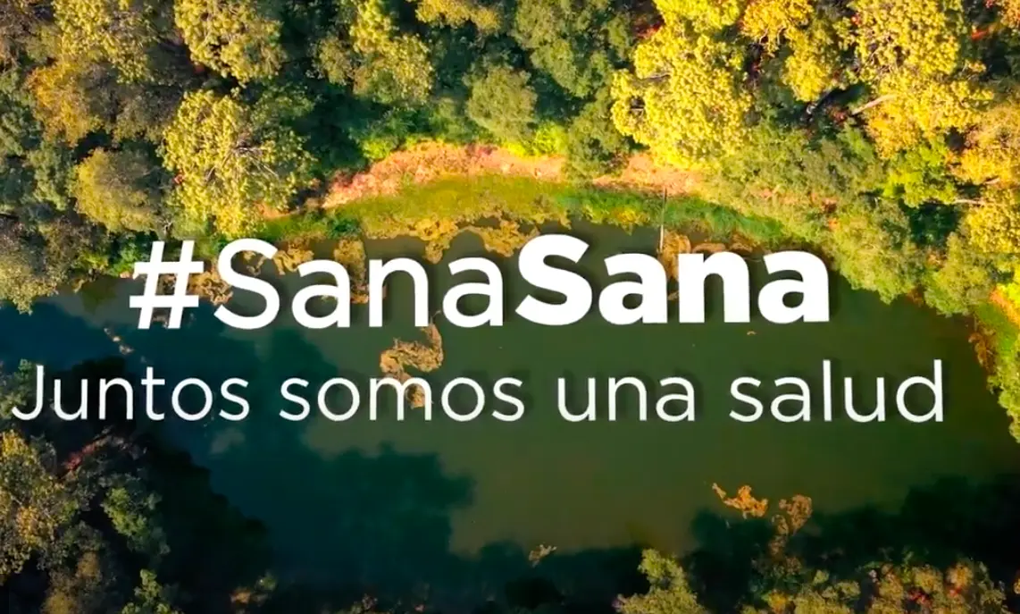 12-EnlacesInteres-Our Vision - SanaSana #Una Salud #SanaSana de WWF Mexico