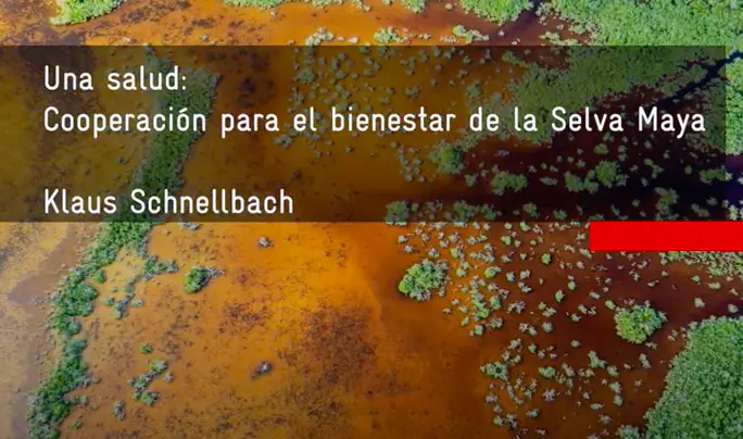 14-EnlacesInteres-Our Vision - One Health, un enfoque de cooperación para el bienestar de la Selva Maya One Health, un enfoque de cooperación para el bienestar de la Selva Maya
