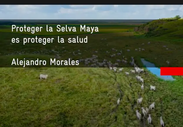 15-EnlacesInteres-Our Vision - Proteger la Selva Maya, es proteger la salud. Proteger la Selva Maya, es proteger la salud.