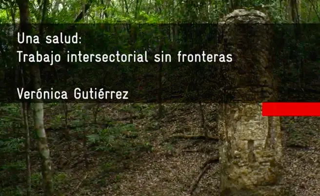 16 -EnlacesInteres-Our Vision - One Health en la Selva Maya hacia un trabajo intersectorial sin fronteras One Health en la Selva Maya: hacia un trabajo intersectorial sin fronteras