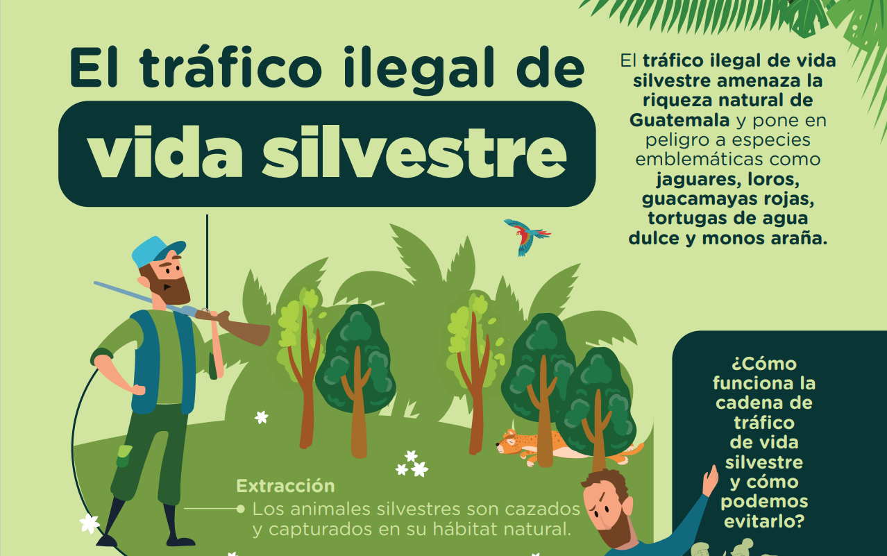 Trafico_VS Tráfico ilegal de vida silvestre