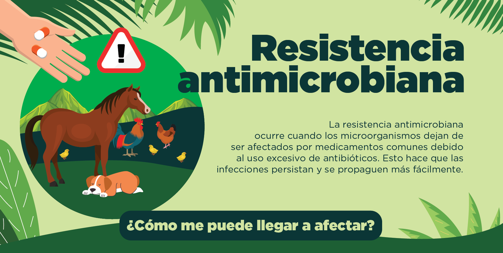 antimicrobianos Resistencia antimicrobiana