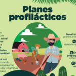 Planes profilácticos