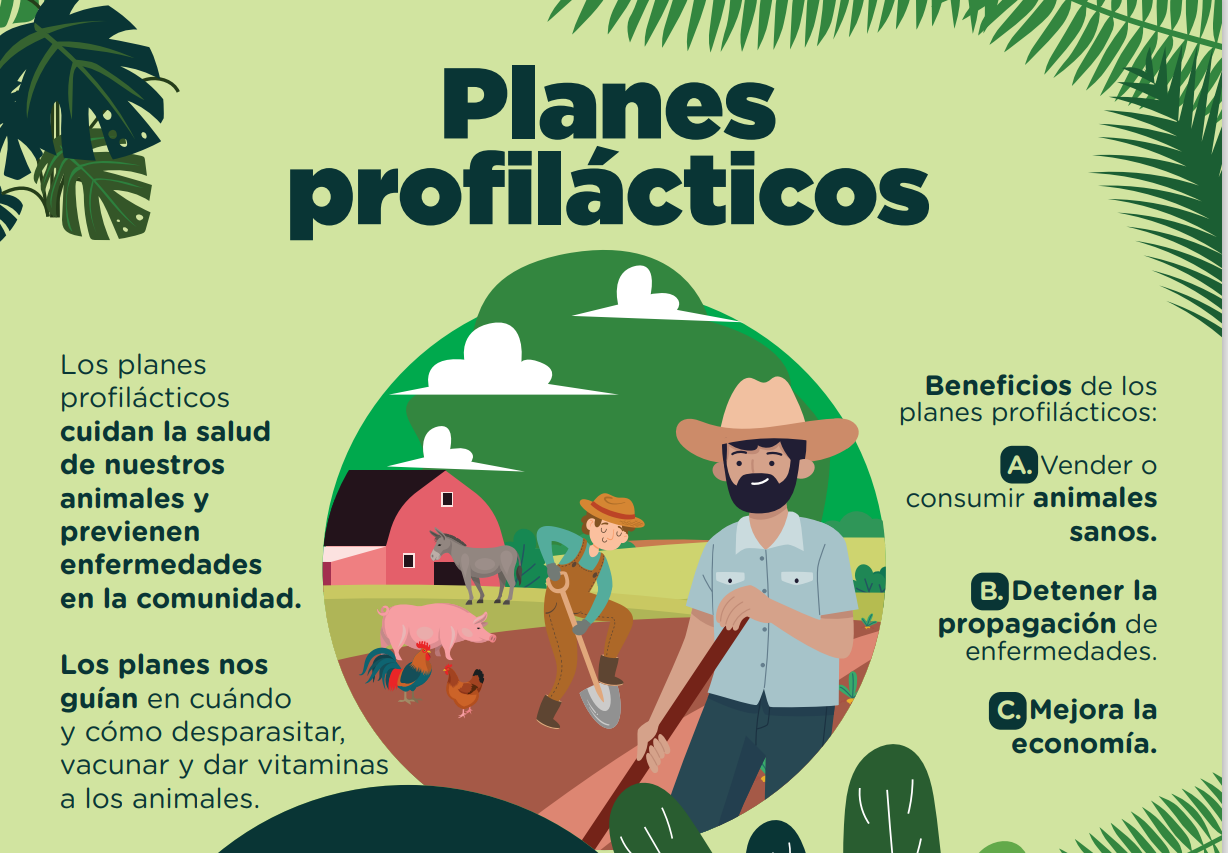 Planes profilácticos
